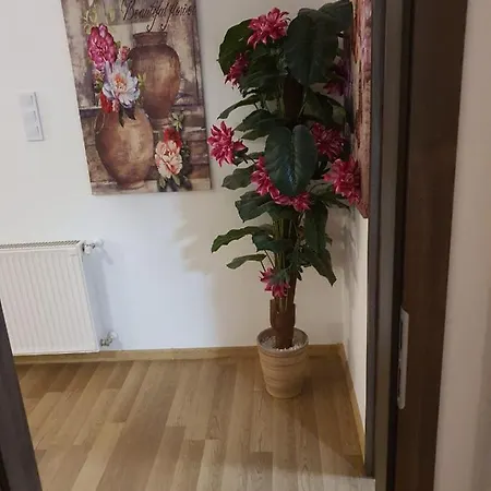 The Loft Апартаменты